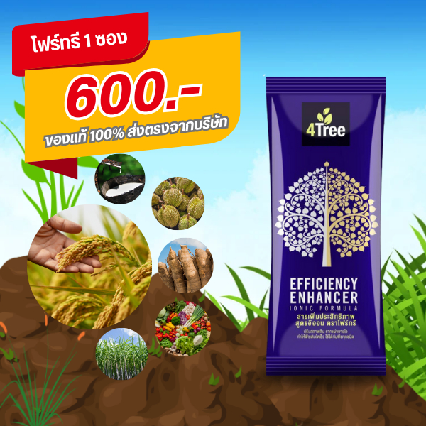 4Tree (โฟร์ทรี) 1 ซอง ใช้ได้กับพืชทุกชนิด