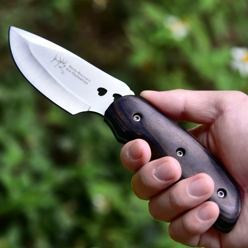 🇺🇸 BUCK Fixed Blade Hunting Knife