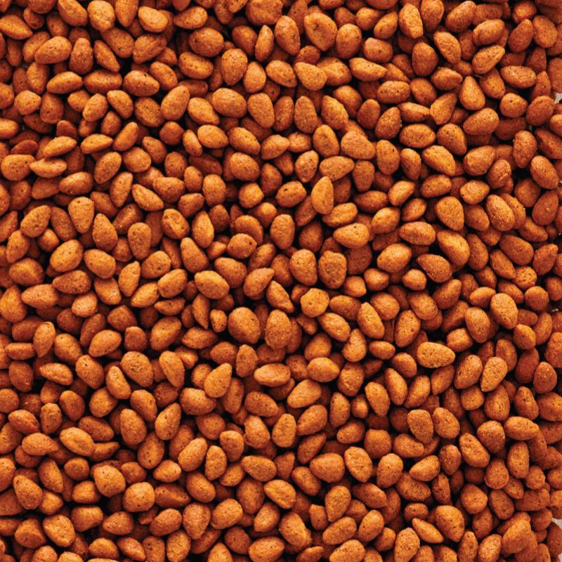 Nutribird G18 Original (แบ่งขาย 200-500g.) อาหารนกแก้วขนาดกลางทุกสายพันธุ์