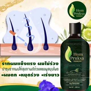 แชมพูปลูกผม แฮร์ เฮอร์เบิล แชมพู Hair Herbal Shampoo ผมดก ลดผมร่วง หอมพฤกษา (Hom Pruksa) ขนาด 290 ml.