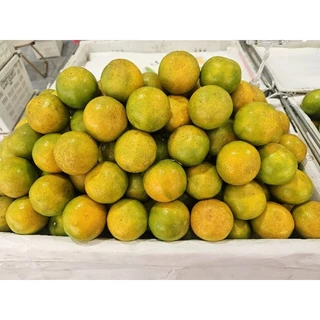 ส้มสายน้ำผึ้ง(ผิวลาย)เบอร์4 ส้มสายน้ำผึ้งจากอำเภอฝาง