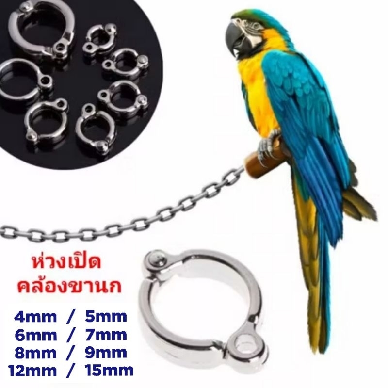 ห่วงเปิดนก ห่วงขาเปิด ห่วงขานก แหวนนก พร้อมสายยืดคล้องขานก​ (4/5/6/7/8/9/12/15mm)