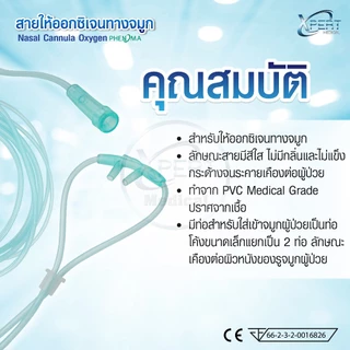 สายออกซิเจน Oxygen Cannula สายออกซิเจนผู้ป่วย สายออกซิเจนทางจมูก ปลอดเชื้อ 100% สำหรับ เด็ก/ผู้ใหญ่