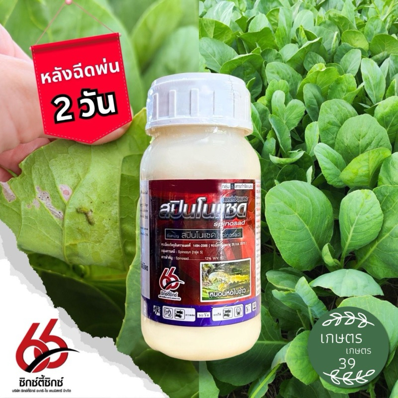 🌱สปินโนแซด12 ตราซิกซ์ตี้ซิกซ์🌱 ขนาด 250 มล.