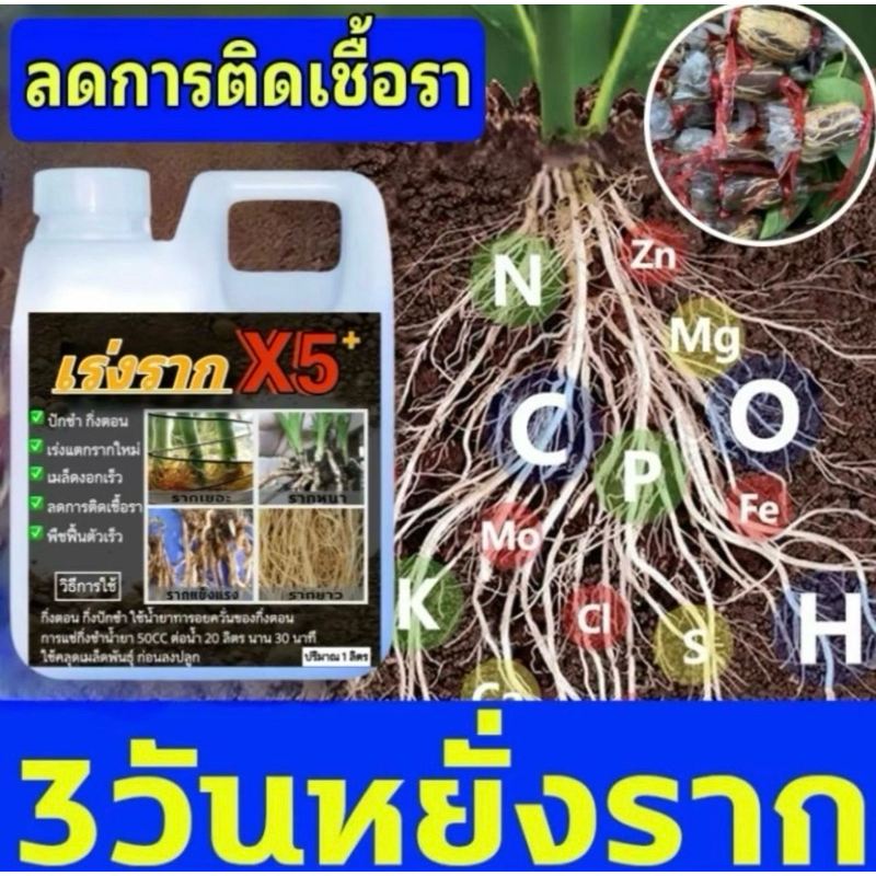 น้ำยาเร่งรากx5 1ลิตร กระตุ้นการแตกรากใหม่เร่งการดูดซับสารอาหาร ลดปัญหาการเกิดโรคพืช