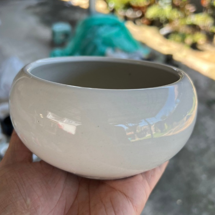 กระถางโอ่ง เซรามิค กระถางไผ่กวนอิม กระขาวมินิ 5.5 นิ้ว สีขาวล้วน โอ่งแบบไม่เจาะรู ออกใบกำกับภาษีได้ รหัส29102567