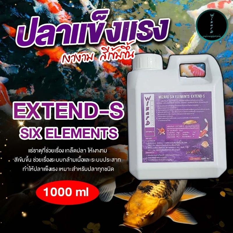 Wizard SIX ELEMENTS  EXTEND-S 1 L