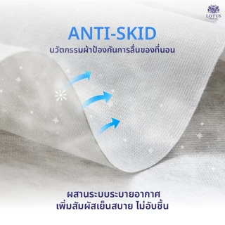 LOTUS ที่นอนยางพาราไฮบริด (สเปคแน่นสบาย) รุ่น Spring Free II หนา 9 นิ้ว ส่งฟรี