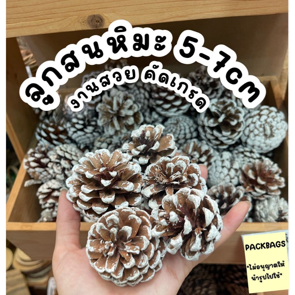 [แพ็ค5ลูก,10ลูก,20ลูก] ลูกสน หิมะ ของแท้ ธรรมชาติ ถ่ายรูป พรอพ ตกแต่งร้าน จัดบูธ ของขวัญ คริสต์มาส christmas