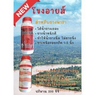 ยาทาหน้ายาง โขงอายส์