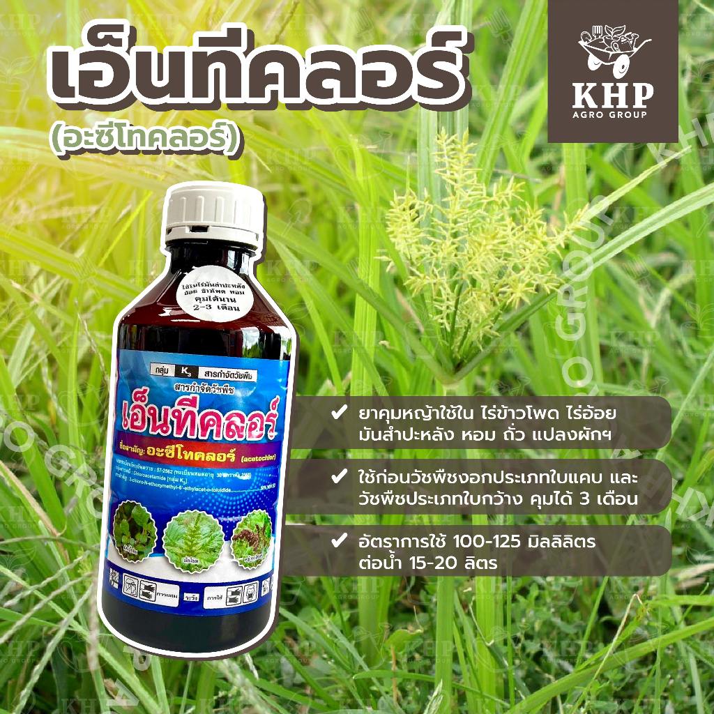 เอ็นทีคลอร์ (อะซีโทคลอร์ 50% EC) ยาคุมหญ้าก่อนงอก ในไร่ข้าวโพด ไร่อ้อย มันสำปะหลัง หอม ถั่ว แปลงผักฯ ขนาด 1 ลิตร
