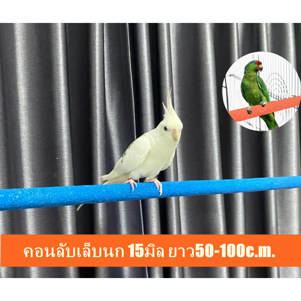 คอนยืนนก คอนลับเล็บ คอนนก ไม้15มิล  ยาว50-100c.m. ใช้ได้กับนกทุกชนิด