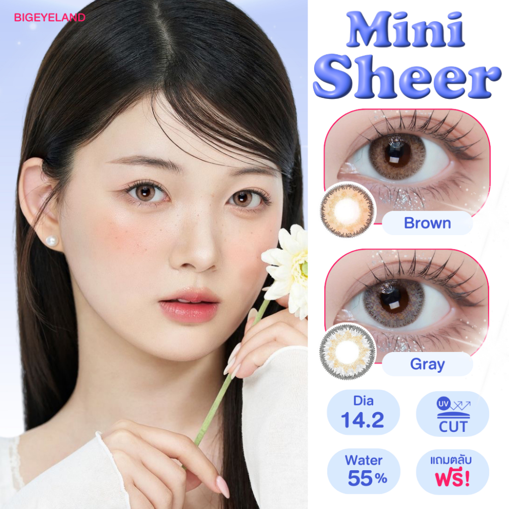 คอนแทคเลนส์ Mini Sheer Brown / Gray (Kitty Kawaii) ขนาดมินิ 🌷