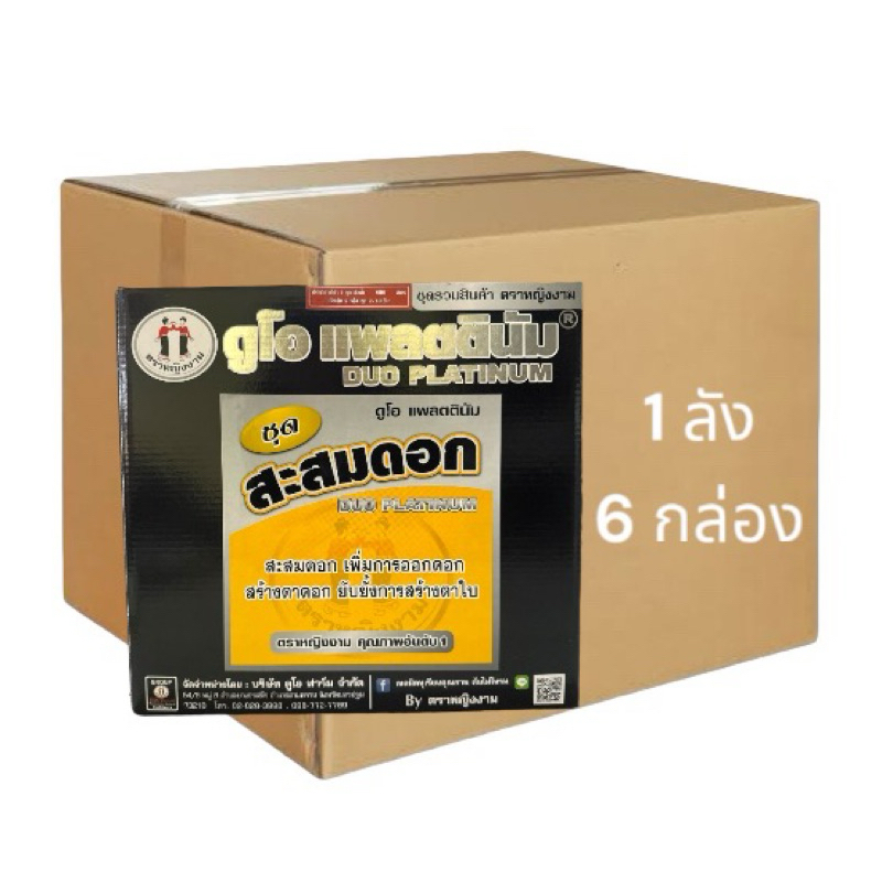 (ยกลัง 6 กล่อง) ชุดสะสมดอก ตราหญิงงาม 1ชุด3ขวด ช่วยสะสมดอก สะสมอาหาร เพิ่มการออกดอก ยับยั้งการสร้างตาใบ