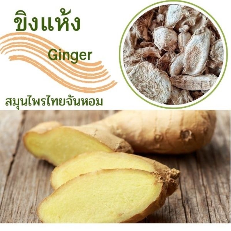 ขิงอบแห้ง  ขิงแห้ง ขิง Dried sliced ginger ขนาด  15 กรัม