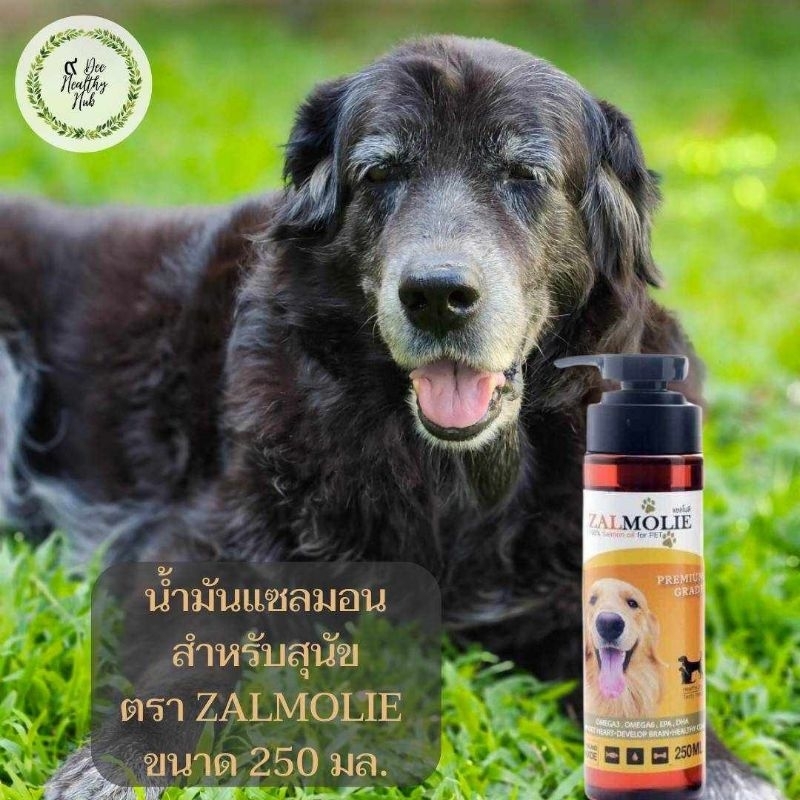 น้ำมันแซลมอน 100% สำหรับสุนัข (Salmon Oil for dogs 100%) ตรา ZALMOLIE แซลโมลี ขนาด 250 ML.