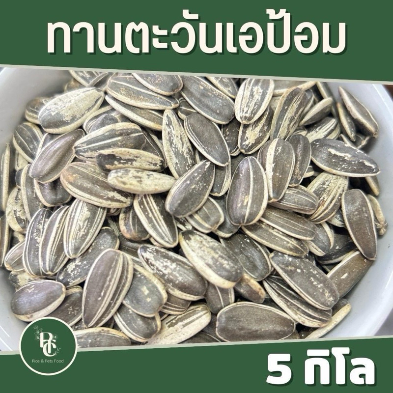 Aป้อม ทานตะวันเม็ดใหญ่ 5 กิโล สำหรับนกแก้ว