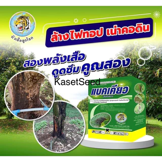 ยกลัง(12กก) แบคเคียว ใบไหม้ในข้าว ไฟทอปเทอร่า รากเน่า โคนเน่า