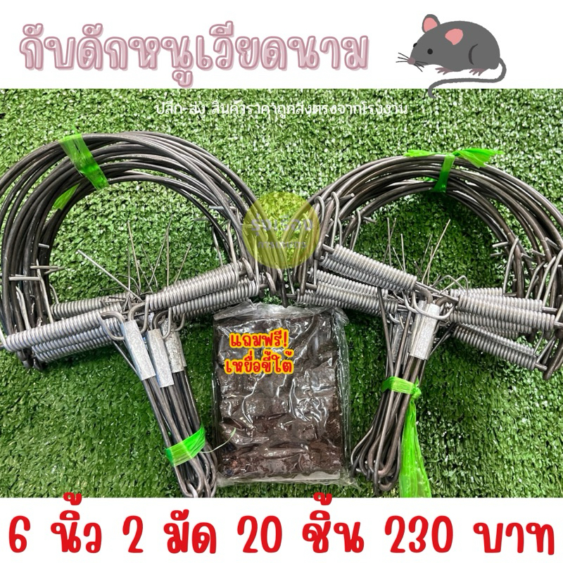 กับดักหนู ขนาด 6 นิ้ว 2 มัด 20 ชิ้น แถมฟรีขี้ใต้1แผ่น 230 บาท