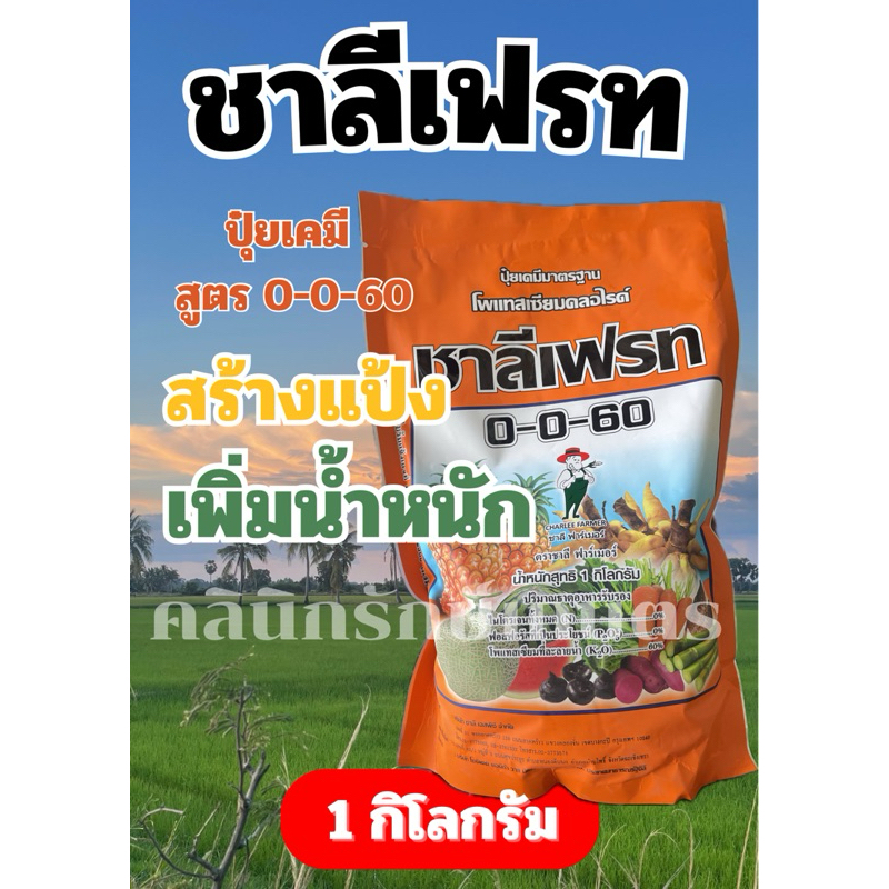 ปุ๋ยเกร็ด-ชาลีเฟรท สูตร0-0-60ขนาด1กิโลกรัม