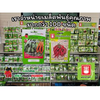 เมล็ดพันธุ์ผัก ซื้อ 10 แถม 1
