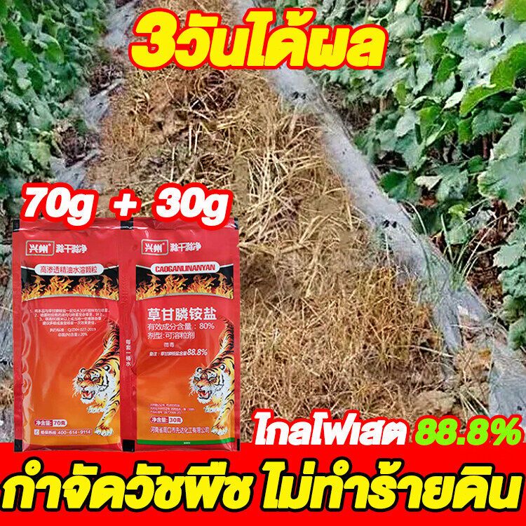 วัชพืชลีบหมด สารกำจัดวัชพืช ไม่งอกใน10ปี มีประสิทธิภาพ วัชพืชไม่มีอีก ไกลโฟเสต 88%1 ถุง ผสมน้ำ 18-20 ลิตร วัชพืชสามาร