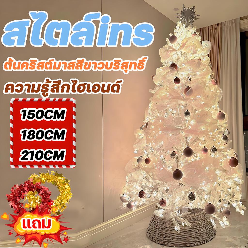 คริสต์มาส ต้นคริสต์มาส กิ่งไม้สมจริง ไม่มีเศษตกหล่น ต้นคริสต์มาสหิมะ ต้นคริสต์มาสประดิษฐ์ ต้นคริสต์มาสพ