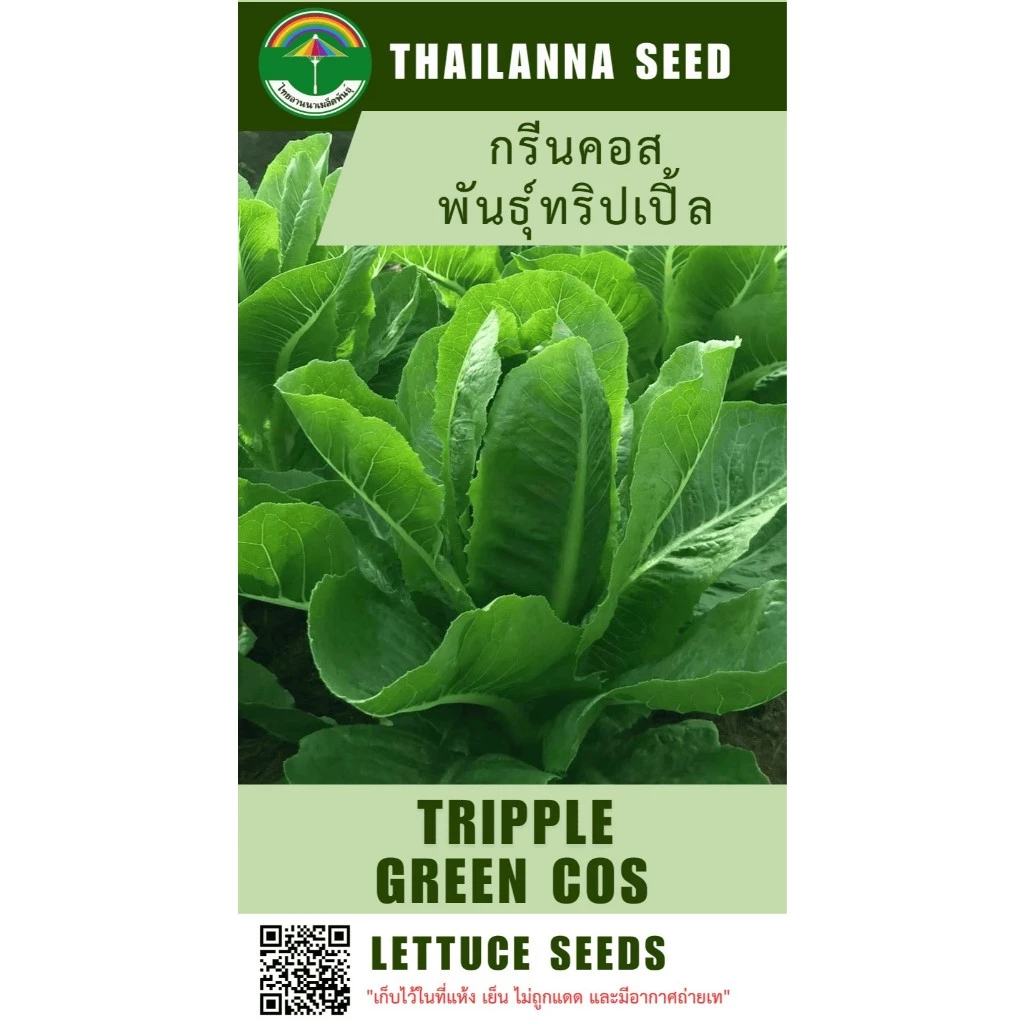เมล็ดพันธุ์ผักสลัด กรีนคอส พันธุ์ทริปเปิ้ล ( ขนาด 0.5 กรัม ) ( เมล็ดเปลือย ) รหัสสินค้า 3017