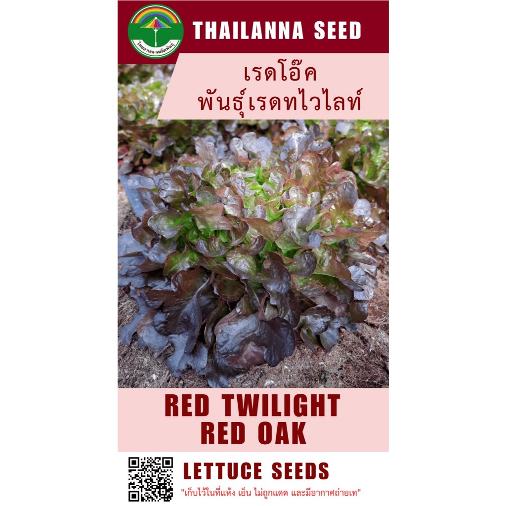 เมล็ดพันธุ์ผักสลัด เรดโอ๊ค พันธุ์เรดทไวไลท์ ( ขนาด 0.5 กรัม ) ( เมล็ดเปลือย ) รหัสสินค้า 3010