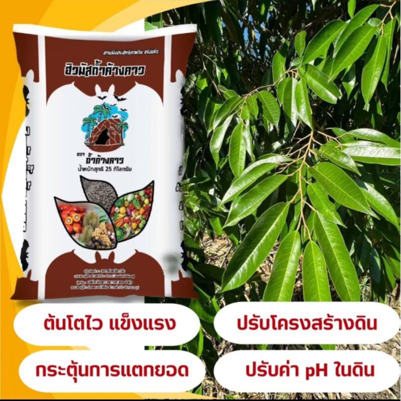ปุ๋ยสูตรเด็ดปุ๋ยทุเรียนเล็ก ฮิวมัสมูลค้างคาว ช่วยปลดปล่อยธาตุอาหารที่สำคัญต่อการเติบโตของพืชลดต้นทุนในการใช้ปุ๋ยชนิดอื่น