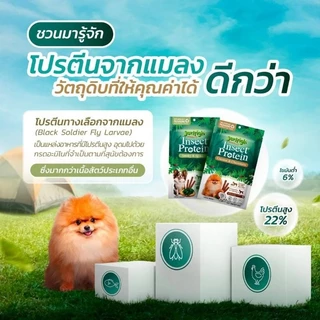 Jerhigh Insect Protein เจอร์ไฮ อินเซค โปรตีน ขนาด 50 g 1ซอง