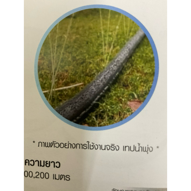 เทปน้ำพุ่งขนาด6หุนหรือ43มิลตราไชโยยาว200เมตร5รู#♥️ถูกที่สุดตอนนี้❤️ - รูปที่ 2