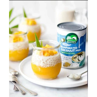 Nature's Charm เนเจอร์ชาร์ม นมมะพร้าวข้นจืด กะทิข้นจืด นมข้นจืดเจ Evaporated Coconut Milk (360ml)