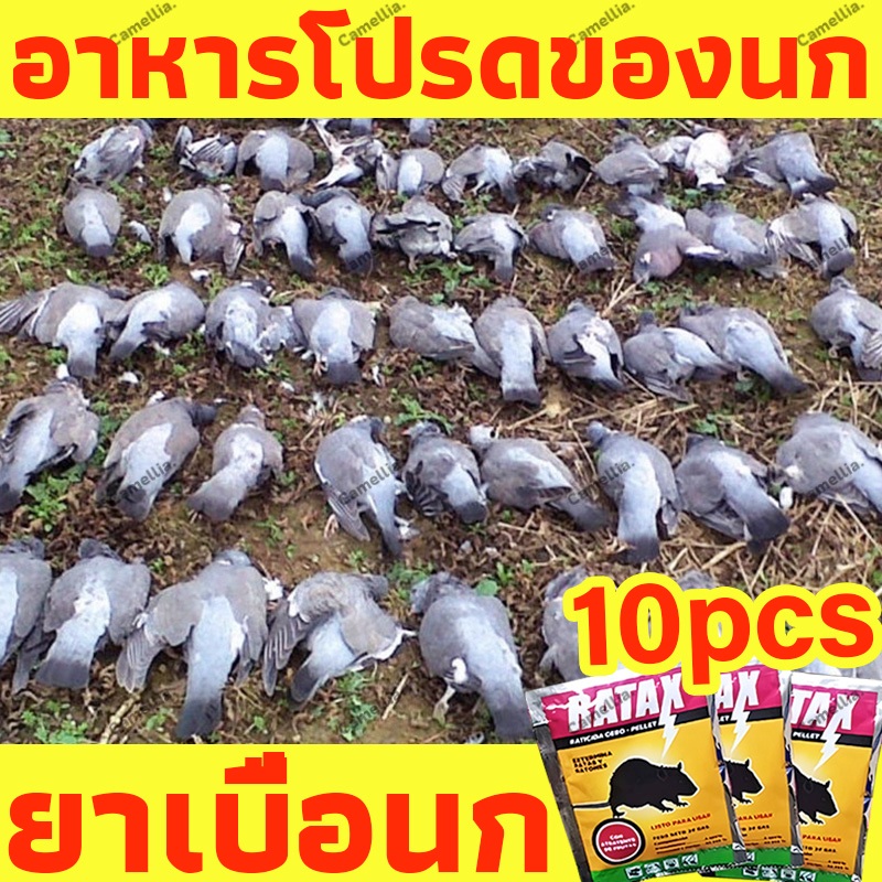 สูตรใหม่ล่าสุด10ซอง ยาเบื่อนก ยาเบื่อนกพิราบ เหยื่อกำจัดนกพิราบ นกกระจอก นกกระจิบ100%ได้ผลตายแห้งไม่เหม็น