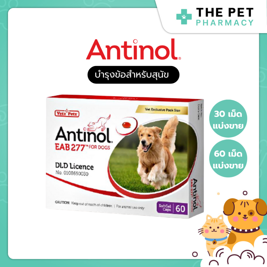 Antinol Dog ช่วยบำรุงข้อ กระดูก ขน ผิวหนัง และไต (แบ่งขาย)