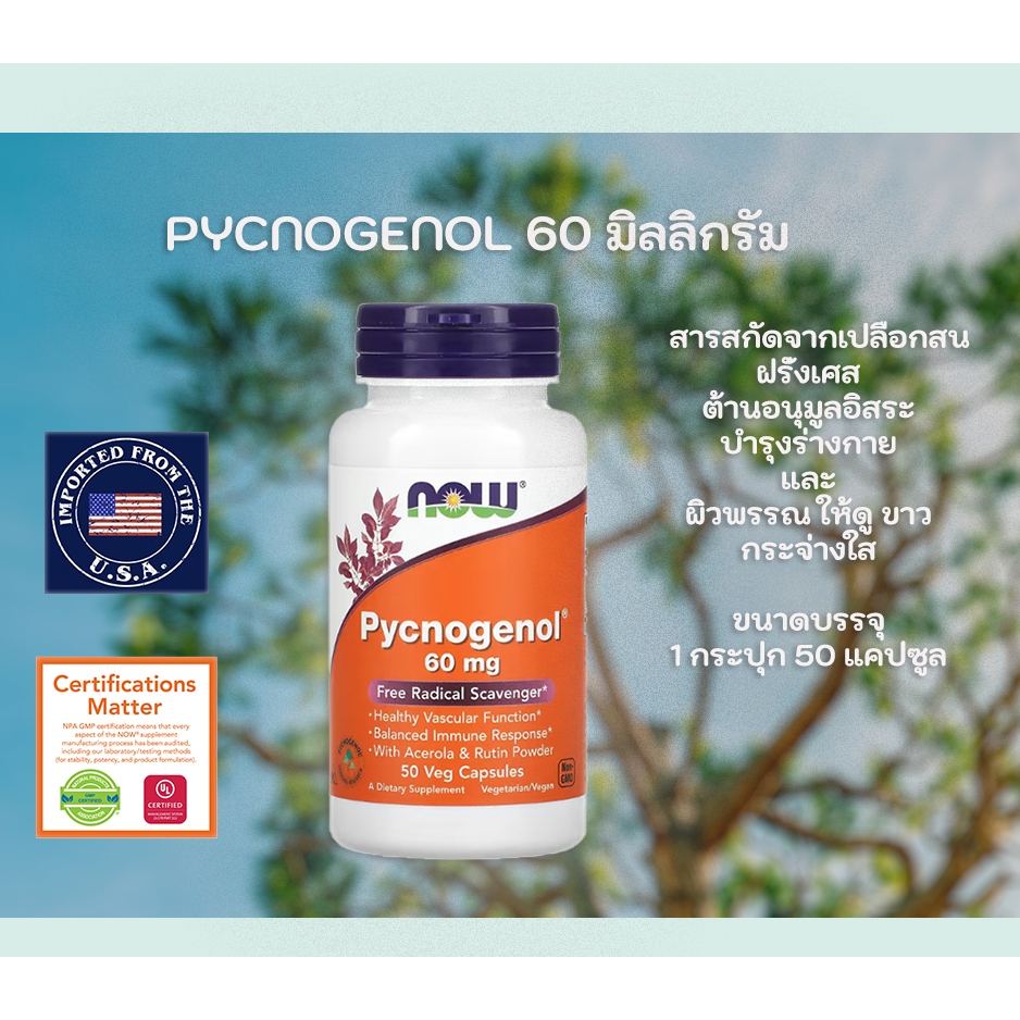 NOW FOODS Pycnogenol 60 mg  50 แคปซูล