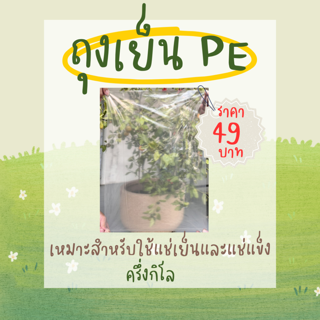 ถุงเย็น PE แบบบาง ถุงใส่มะลิ ขนาด 12*18 น้ำหนัก0.5kg.