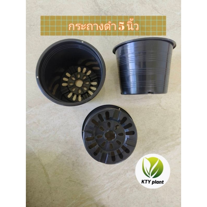 กระถางดำ กระถางต้นไม้ กระถางพลาสติก ขนาด2.5