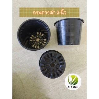 กระถางดำ กระถางต้นไม้ กระถางพลาสติก ขนาด2.5", 3",4",5",6",8",10"
