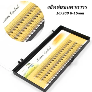 💗ขนตาปลอม💗 ขนตาต่อ ชุดขนตาปลอม ลอมขนมิ้ง แต่ละช่อ 60 pcs 10D/20D 8-15mm ใช้ซ้ําได้