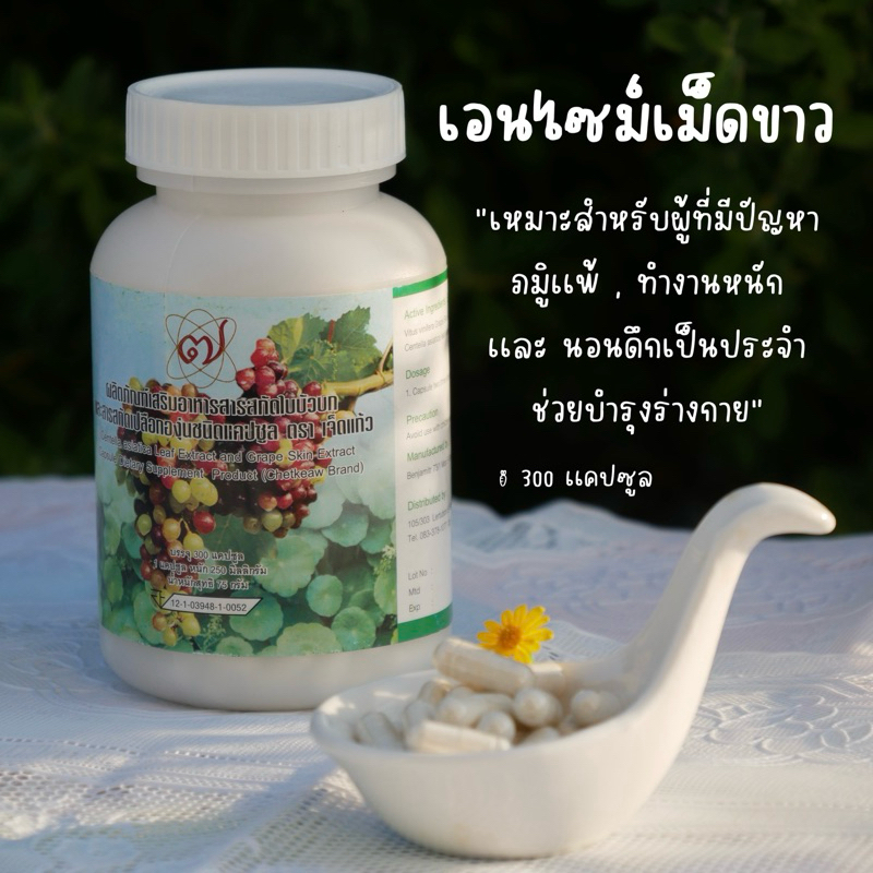 ผลิตภัณฑ์อาหารเสริมสารสกัดใบบัวบกและเปลือกองุ่นวงเล็บ(เอนไซม์เม็ดขาว)