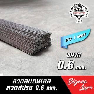 ลวดสแตนเลส ตกปลา แบบนิ่ม และ แบบ สปริง ลวดสเตนเลส 304 ลวดเชื่อม ลวดเติม