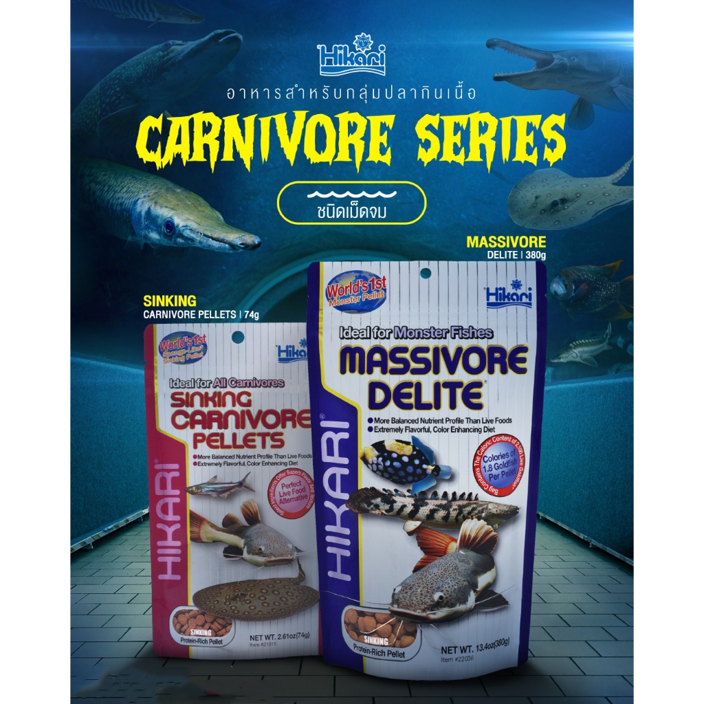 Hikari Sinking Carnivore, Hikari Massivore อาหารปลากินเนื้อ สำหรับปลาก้นตู้ทุกชนิด 🐟🎊🌈💙🎉😁