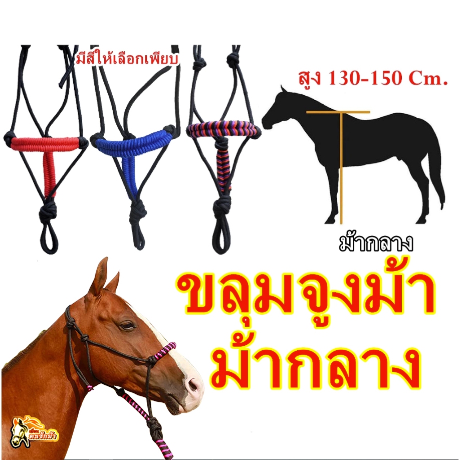 ขลุมจูงม้า ขลุมม้า สำหรับม้ากลาง (สูง 130 -150 ซม.) เชือกอย่างดี ไม่บาดผิว