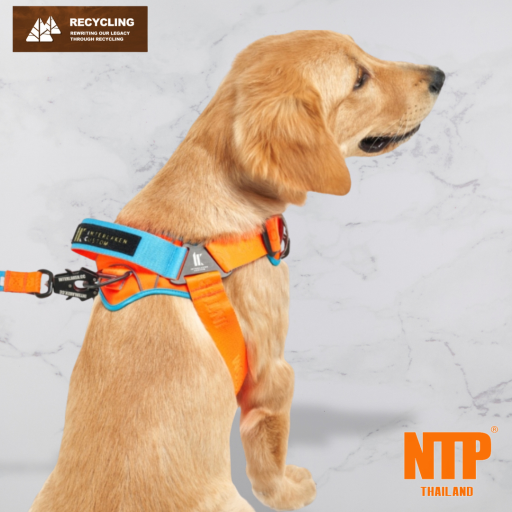 NTP สายรัดอกสุนัข Interlaken Earthtec Y PAD harness