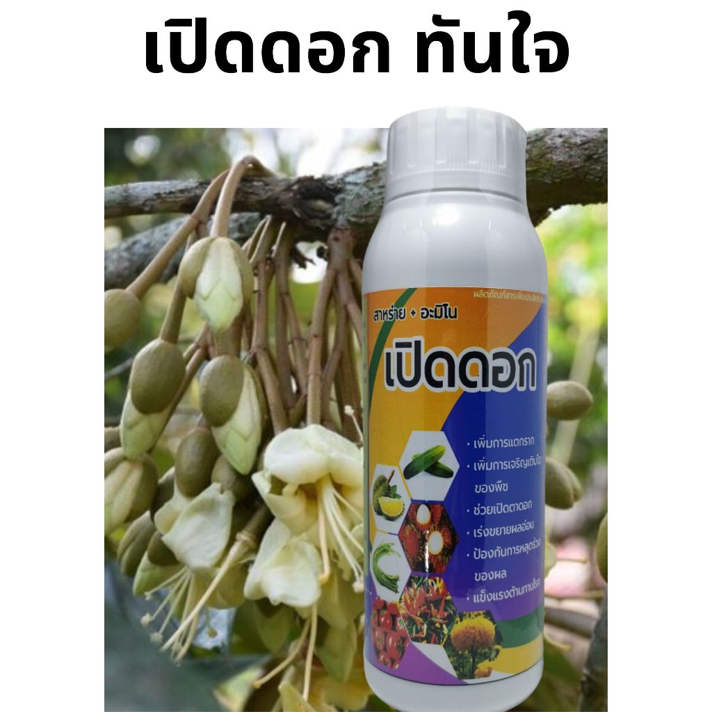 ฮอร์โมนเปิดดอก 500ซีซี. สาหร่าย+อมิโน เข้มข้น ​ ช่วยเปิดตาดอกทุเรียน ดึงดอก เร่งดอกทันใจ