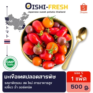 🛒Oishi-Fresh🍅มะเขือเทศเชอรี่ ปลอดสารพิษ 1 กก. รสชาติกรอบ สด ใหม่ ใยอาหารสูง หวานออร์แกนิค เคลมได้ 1-2 วัน
