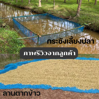 มุ้งฟ้า มุ้งไนล่อน ผ้าแยงเขียว ตา16 กว้าง 0.9 ม. 1.2 ม. 1.5 ม. 2 ม. และ 3 ม.กระชังปลา กันแมลง Union