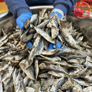 ปลาทูจิ๋ว 500กรัม ปลาทูต้ม ปลาหลังเขียว ตากแห้ง สดใหม่ หอมปลาตากแห้ง สุดคุ้ม