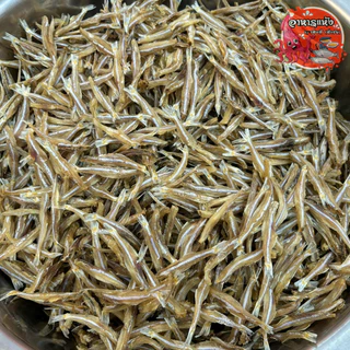 🐟🐟ปลาไส้ตันใหญ่🐟🐟 ‼ครึ่งกิโล‼ ตากแห้ง สดใหม่ อร่อย ปลาตากแห้ง สุดคุ้ม